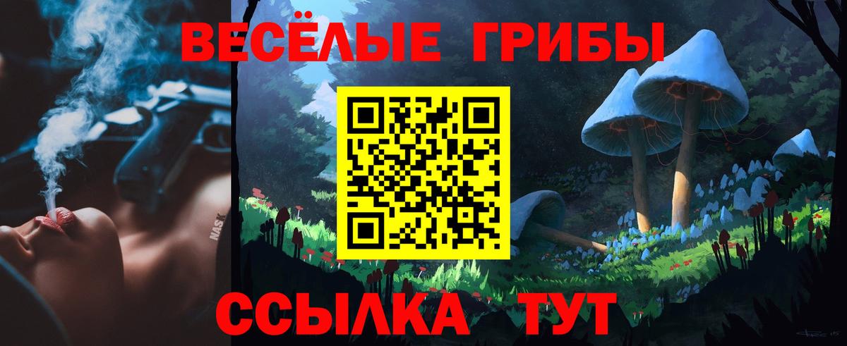 Галлюциногенные грибы мицелий  Вход с VPN  Алексеевка 