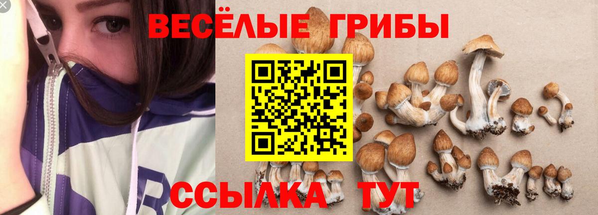 Галлюциногенные грибы Psilocybine cubensis Алексеевка
